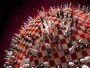Соревнования по шахматной композиции на 2024 год